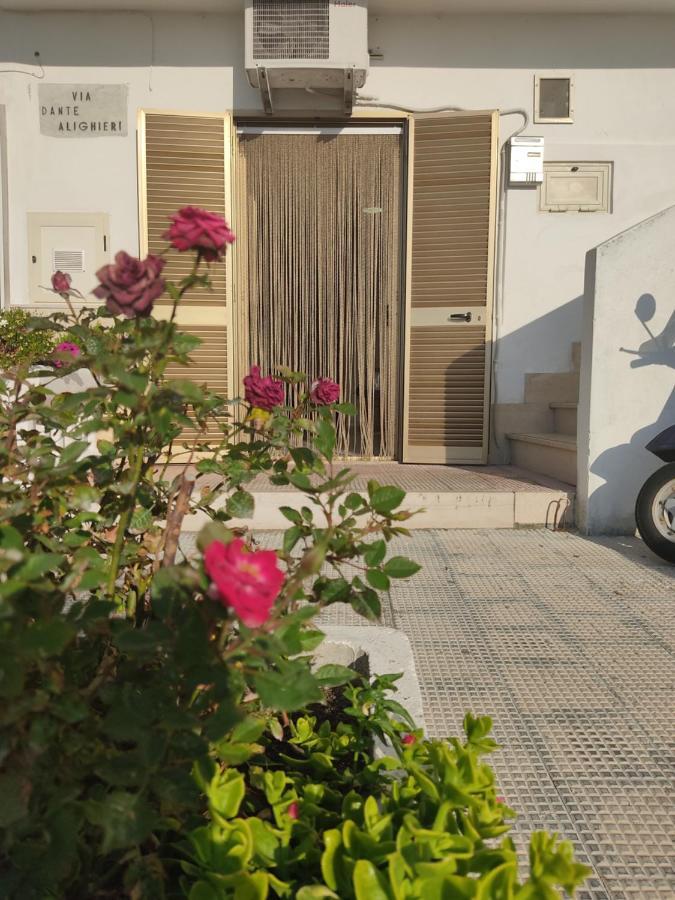 Bilocale Pirata Apartment Vieste Ngoại thất bức ảnh